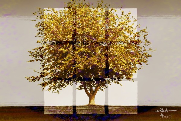 Window2 on an Amber Tree 3x2 by Veratis Editions